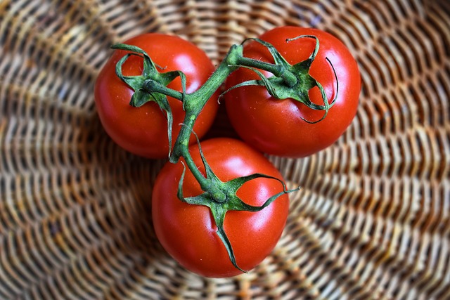 rajčata.jpg