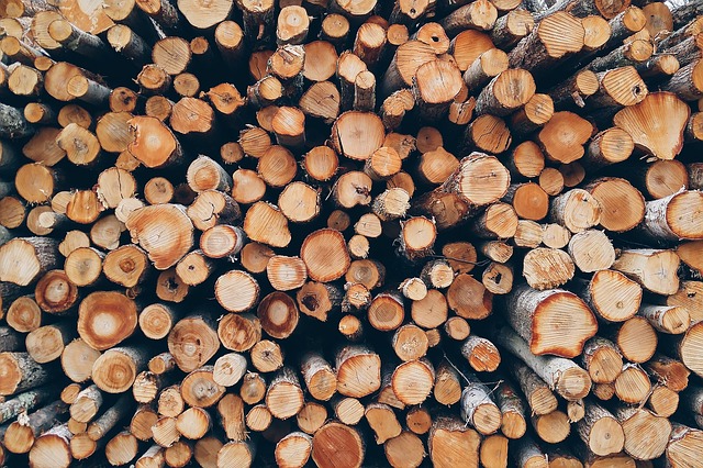 hromada dřeva